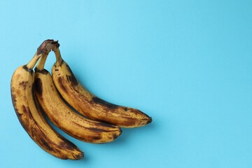 Wall Mural - Bunch of ripe bananas with dark spots on light blue background, top view. Space for text