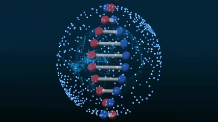 Wall Mural - DNA strand and molecular structure animation over digital network background