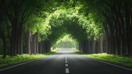 Sticker - asphalt highway road and tree tunnel background. concept of car sale, auto, automobile, automotive empty space, shop or store.