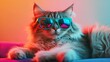 © Alex - Vibrant Chic Cat with Colorful Sunglasses: Perfect Poster for Sporty Interiors, Showcasing Fluffy Charm and Playful Personality Against a Warm Gradient Backdrop