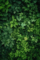 Thick foliage growing on a green wall