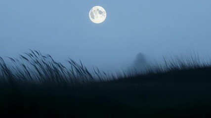 Wall Mural - Wind blowing on grass at night with a full moon in the background, creating a spooky and mysterious atmosphere perfect for halloween projects