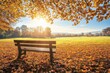 © KumCup - A serene park scene in autumn with a bench under a tree, golden leaves, and a sunny atmosphere.