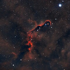 Wall Mural - elephant trunk deep sky photograph