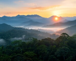 Wall Mural - Sunrise Over Lush Mountains and Valley Shrouded in Mist