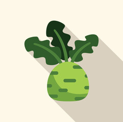 Poster - Green kohlrabi with large leaves, perfect for illustrating healthy eating or farming concepts