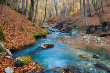 Wall Mural - A serene forest stream during autumn, with fallen leaves and vibrant, colorful foliage.