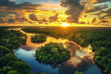 Wall Mural - Beautiful sunset over a winding river surrounded by dense forest and clouds.