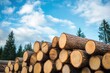 © KumCup - A pile of freshly cut logs with a backdrop of a cloudy blue sky and evergreen trees.
