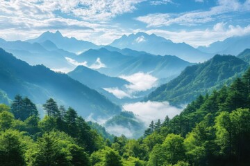 Canvas Print - Misty Mountain Range