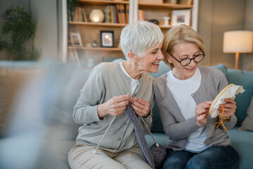 Wall Mural - two women senior mature knitting and embroidery during leisure time