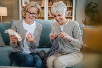 Wall Mural - two women senior mature knitting and embroidery during leisure time