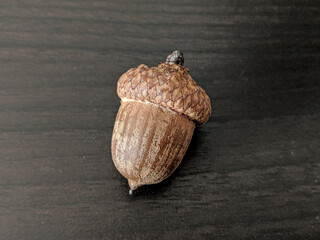 acorn on wooden table