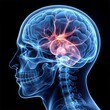 © Bounpaseuth - X-ray of the brain