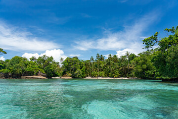 Tropical Beach Paradise with Palm Trees and Rocky Coastline in the caribbean Islands, Featuring Stunning Ocean Views, Sandy Shores, and Lush Island Landscapes, Perfect for Travel and Vacation Getaways