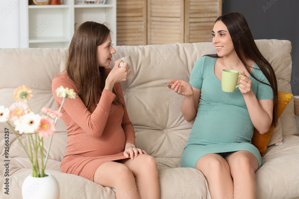 Pregnant female friends drinking tea on sofa at home