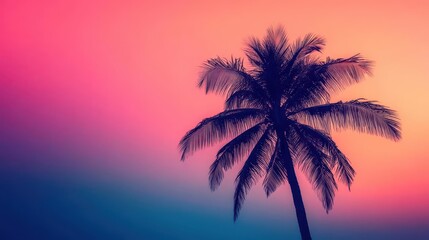 Wall Mural - majestic palm tree silhouette tropical sunset sky vibrant gradient background