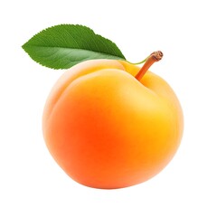 Wall Mural - Macro Shot of a Perfect Apricot on White Background