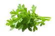 © AI Farm - Fresh green parsley sprig, perfect for culinary uses and garnishing dishes. Vibrant color and healthy addition to meals.