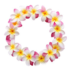 Wall Mural - Hawaii garland of frangipani flowers Isolated on Transparent Background PNG
