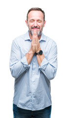 Wall Mural - Middle age hoary senior business man over isolated background praying with hands together asking for forgiveness smiling confident.