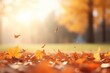 © Rawpixel.com - Autumn autumn backgrounds leaves.