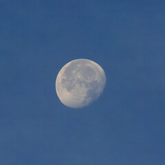 Wall Mural - full moon over blue sky