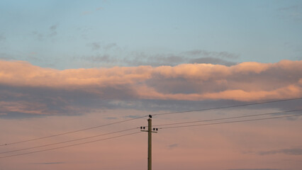 The support of power lines against the background of an orange sunset sky