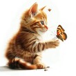 © Thanate - Curious Kitten Watching Butterfly.