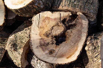 Close-up of sawn firewood stacked in a pile