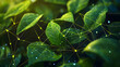 © Daniel - Green leaves connected by network lines concept for natural network ecology organic sustainable green digital technology nature conservation environmental friendly