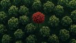 © TensorSpark - Aerial view of a single red tree standing out among green trees, symbolizing uniqueness, special talent, and leadership.