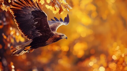 Wall Mural -  A bird flies against a backdrop of trees, their yellow leaves distinguishing them in the background