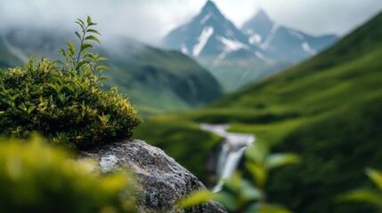 Wall Mural -  A tight shot of moss covering a rock next to a flowing stream Mountains loom in the distance