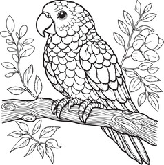 Wall Mural - A parrot line art coloring book illustration for kids