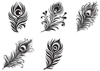 Set of Black peacock feather silhouette  Vector illustration, Vector silhouette of a Peacock feather, black and white Peacock feather Silhouette, Peacock feather logo icon template vector illustration