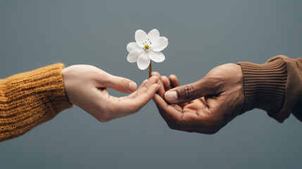 Wall Mural - A person is holding a white flower in their hands