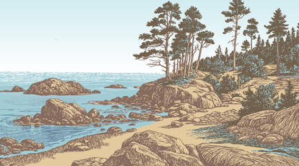 Landscape. Pines and rocks near sea. Colored engraved style.