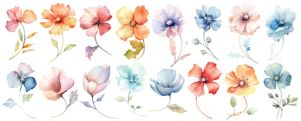 Watercolor set of flowers, leaves and branches. Hand drawn illustration.