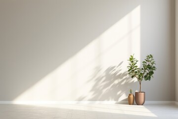 Canvas Print - Clean minimal empty room architecture building shadow.