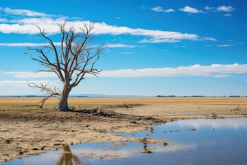 Sticker - Dead tree sky outdoors horizon.