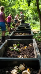 Groups of volunteers actively planting and maintaining raised garden beds filled with soil and organic waste