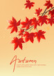 © jm - Watercolor style autumn red leaf illustration