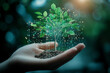 © Benjawan - Hand holding young plant, Ecology and Environment concept.