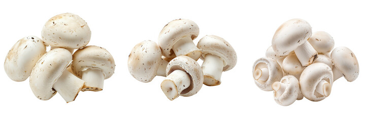 Set of Fresh white mushrooms isolated on a transparent background