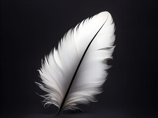 White feathers, black background