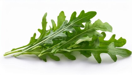 Wall Mural - Fresh Arugula Leaves