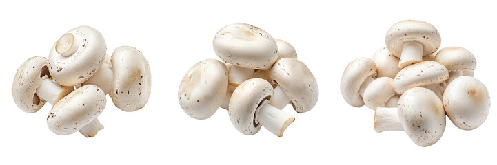 Wall Mural - Set of Fresh white mushrooms isolated on a transparent background