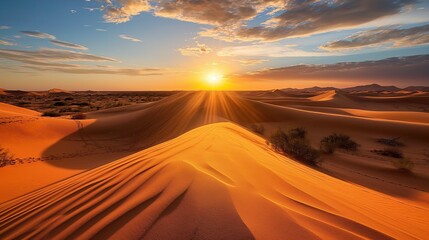 Wall Mural - desert landscape with sand dunes and a setting sun