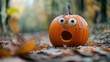 © Wattana - A pumpkin with a surprised face, looking hilariously startled.